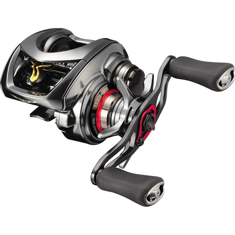 MOULINET CASTING DAIWA STEEZ CT SV TW